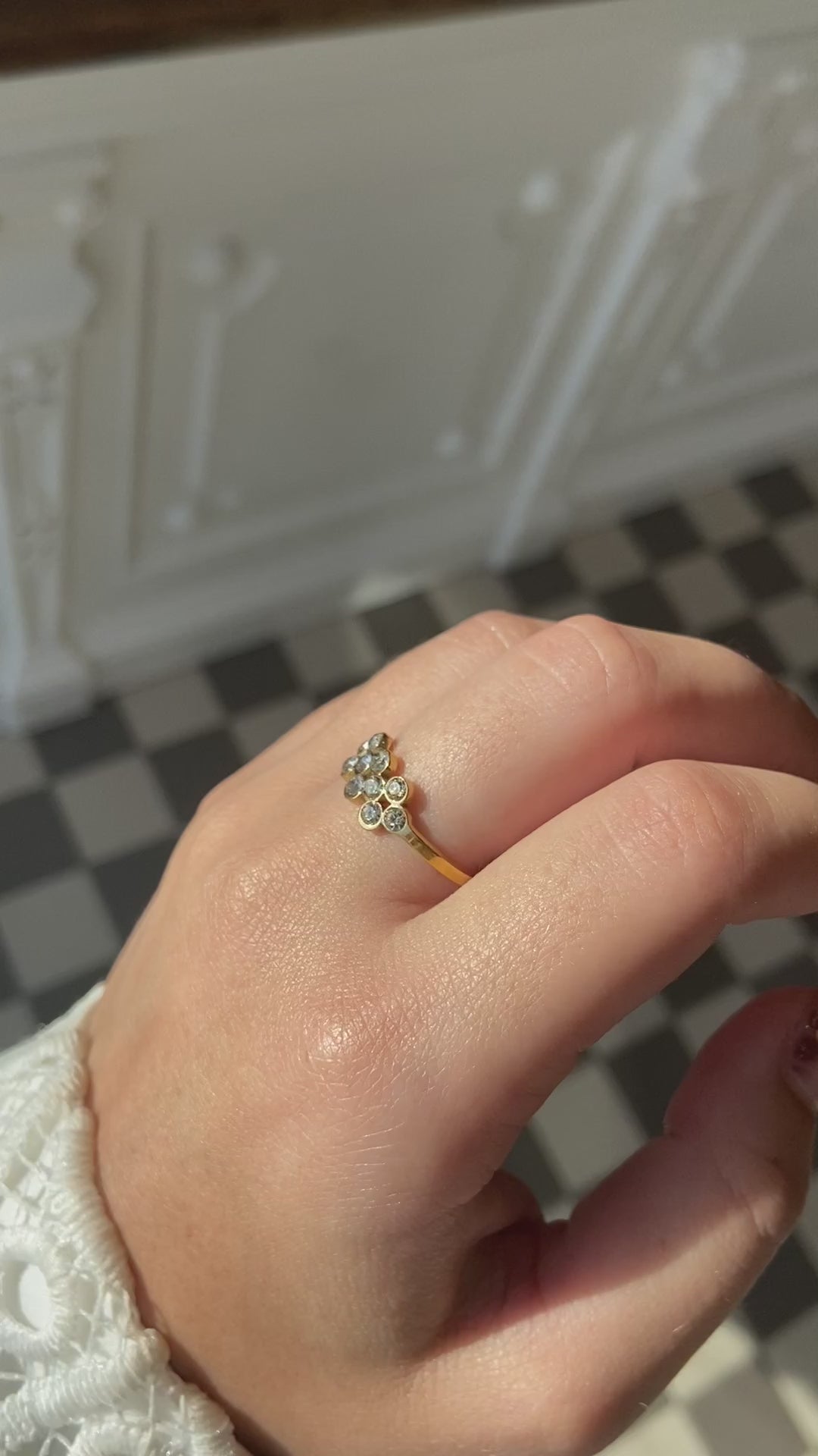 Sally ring på video